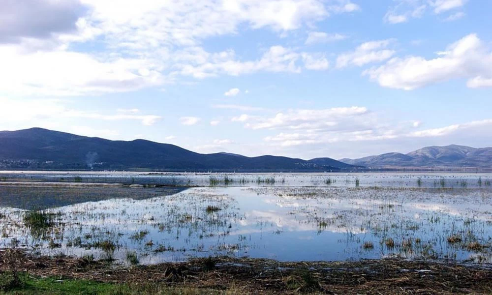 Επαναστατικό: Δημιουργήθηκαν νανορομπότ που απομακρύνουν τη ρύπανση από το νερό